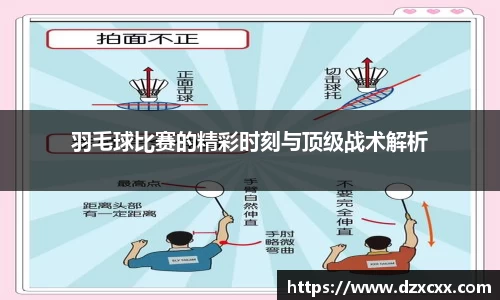 威尼斯886699app