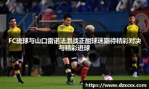 FC琉球与山口雷诺法激战正酣球迷期待精彩对决与精彩进球